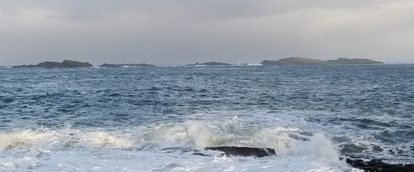 Shoreline